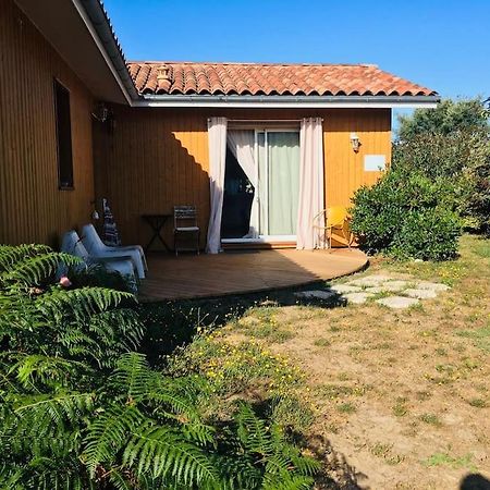 Appartement Beroy - Studio Entre Foret Et Ocean à Linxe Extérieur photo